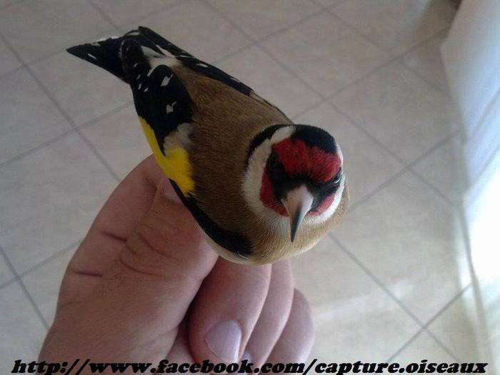 377423_332515633440322_208393189185901_1215974_288350105_n