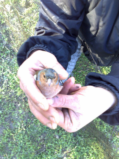 324529_332062056819013_208393189185901_1214352_861452718_o