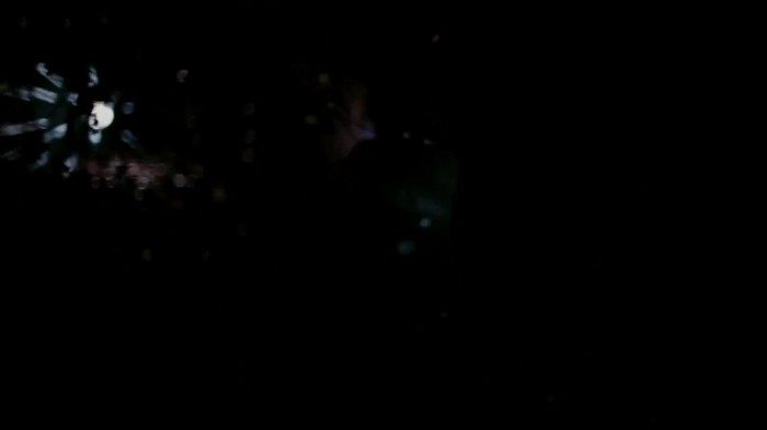 Selena Gomez & The Scene - Hit The Lights 283