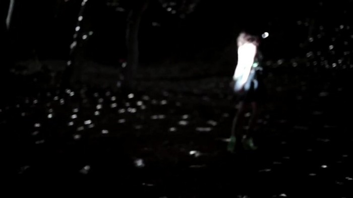Selena Gomez & The Scene - Hit The Lights 326