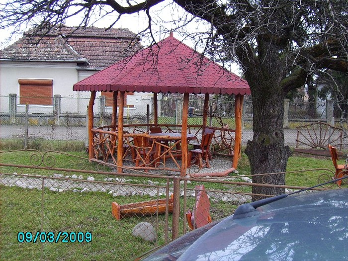 41 - FOISOARE GRADINA