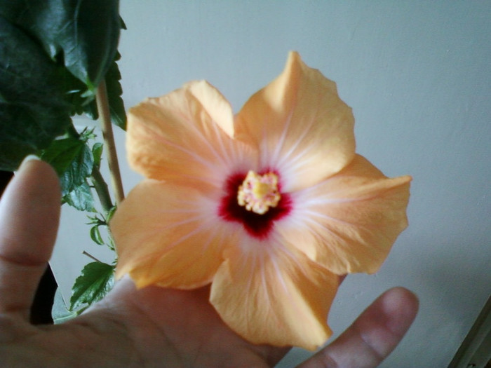 21 febr 2012 003 - februarie 2012