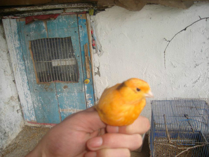 387606_108415599279147_100003321224956_45210_2128573039_n