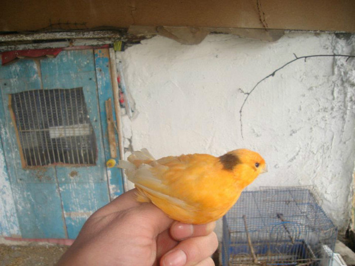 406909_108415329279174_100003321224956_45209_1999718387_n