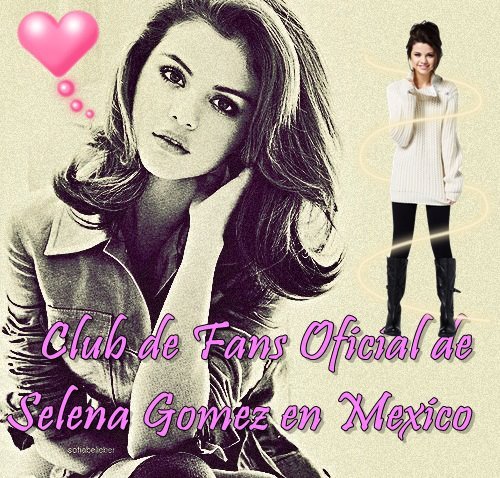 399907_271791252878340_162849310439202_768161_706635239_n