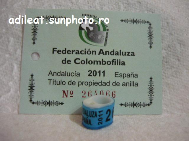 ESP-2011-ANDALUZA - SPANIA-ESP-ring collection