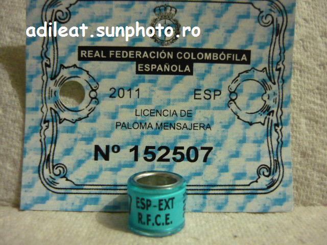 ESP-2011-EXT-R.F.C.E - SPANIA-ESP-ring collection