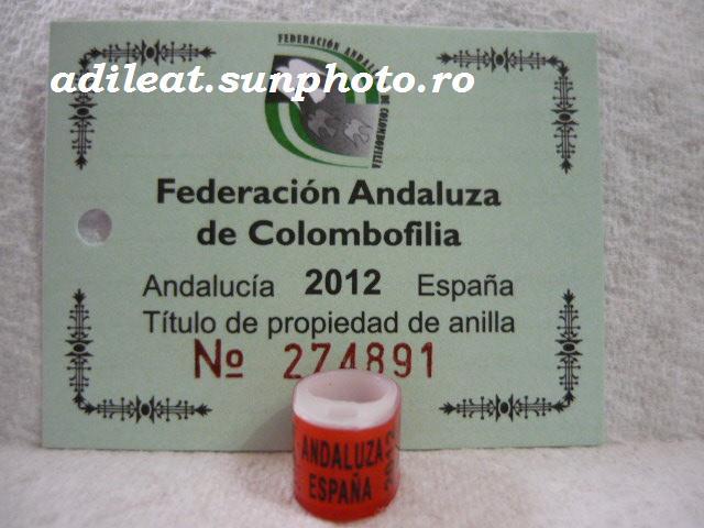 ESP-2012-ANDALUZA