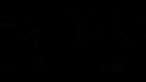 Selena Gomez and the Scene - Falling Down - Official Music V 464