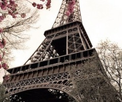 .x Tu Ce Zodie Esti?:x