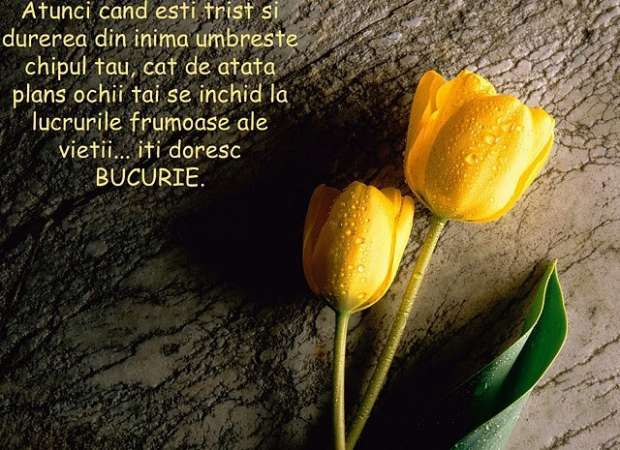 bucurie_2031d1b92f2f8b