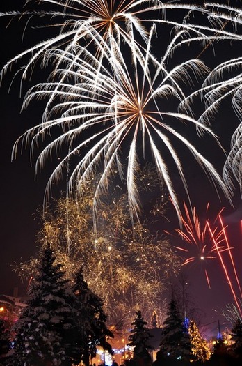 2011-inceput-exploziv-35376-l - felicitari