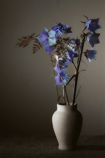 study-with-blue-flowers-35452-l