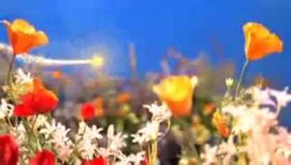 Selena Gomez Fly To Your Heart FULL Music Video_2 059 - Selena Gomez Fly To Your Heart FULL Music Video_2