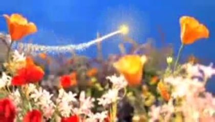 Selena Gomez Fly To Your Heart FULL Music Video_2 060 - Selena Gomez Fly To Your Heart FULL Music Video_2