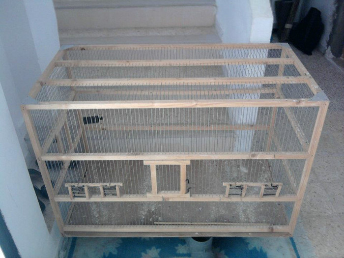 396318_362481583777060_208393189185901_1290003_369270322_n