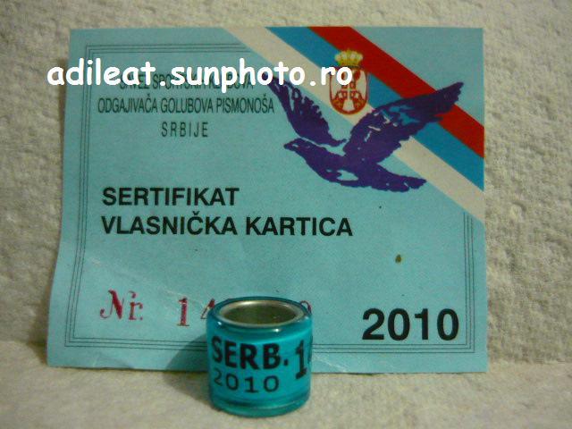 SERBIA-2010 - SERBIA-ring collection