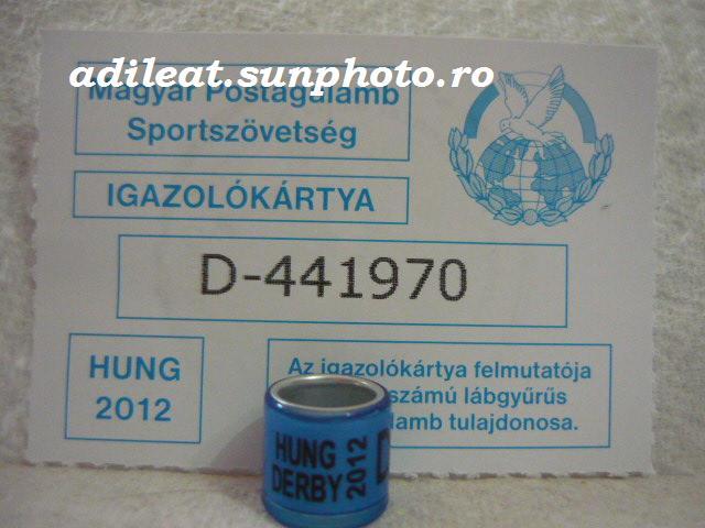 UNGARIA DERBY-2012 - UNGARIA-DERBY-ring collection