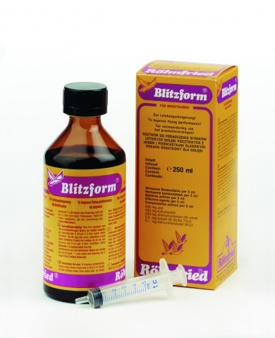 BLITZFORM 100ML - BLITZFORM 100ML