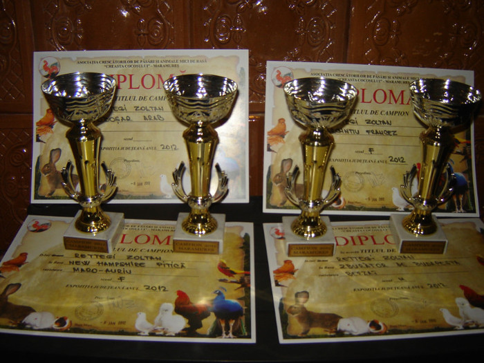 cupe si diplome 2012