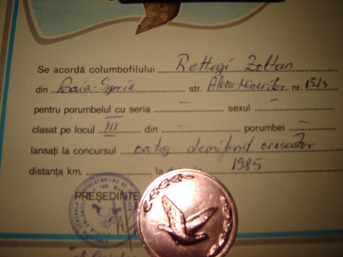 bronz demifond 1985 - Cupe si diplome oglinda muncii