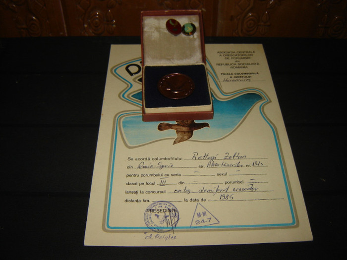 DSC08417 - Cupe si diplome oglinda muncii