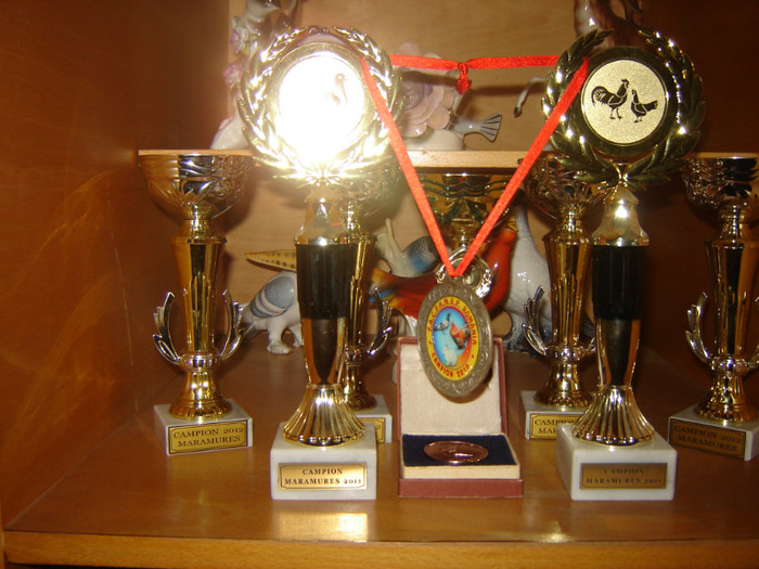 DSC08419