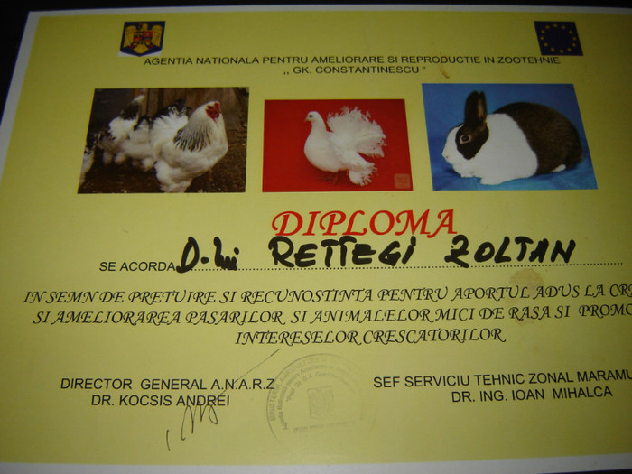 DSC08420 - Cupe si diplome oglinda muncii