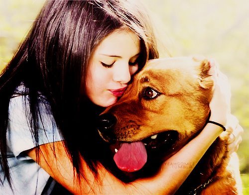 300909_249189245116863_229460823756372_619723_574437386_n - 0                                  Aye - here Maffy_Unicorn
