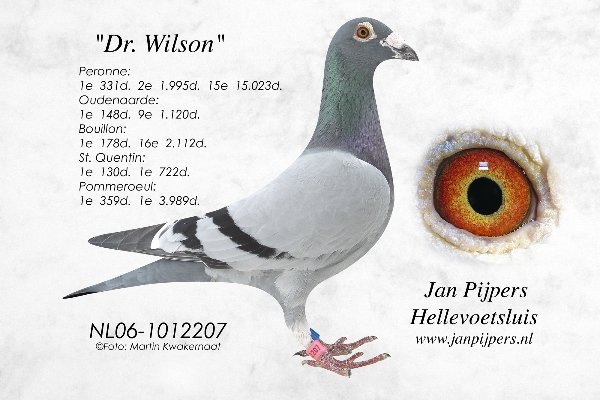 Dr. Wilson - Jan Pijpers