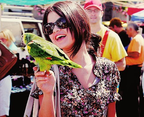 301305_251167891585665_229460823756372_625452_1552468145_n