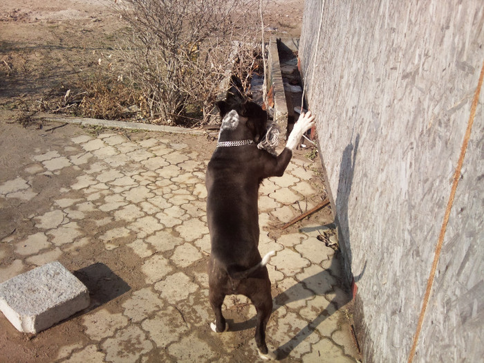 Photo709 - Sara si Leo