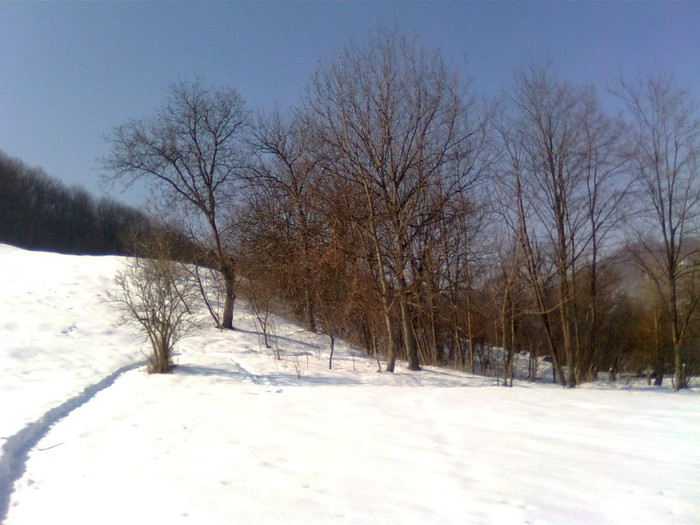 Imagine1089 - Imagini de iarna