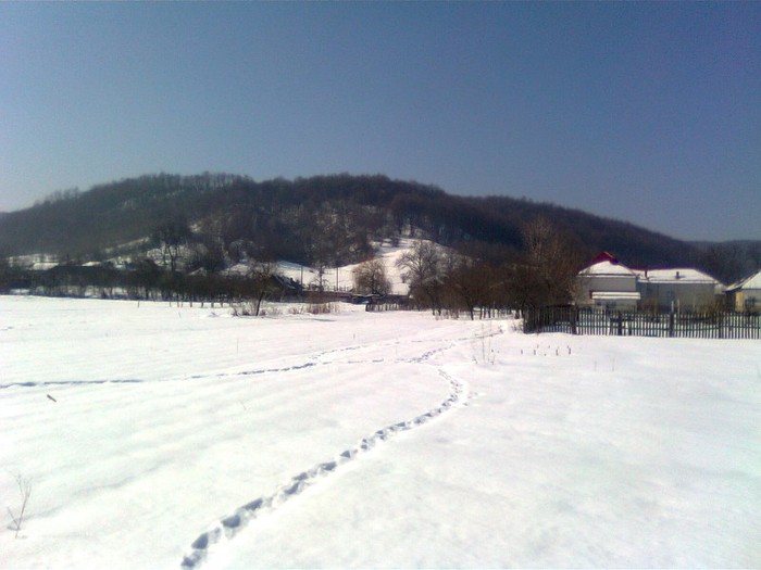 Imagine1065 - Imagini de iarna