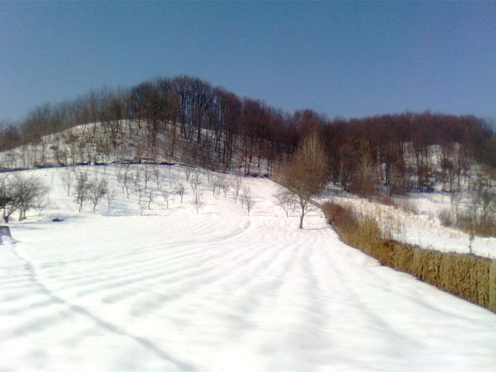 Imagine1073 - Imagini de iarna