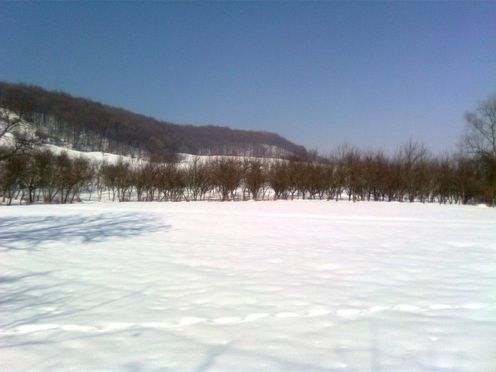 Imagine1071 - Imagini de iarna