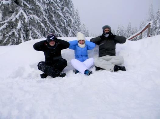 420192_296806027039332_287743971278871_798027_342688060_n