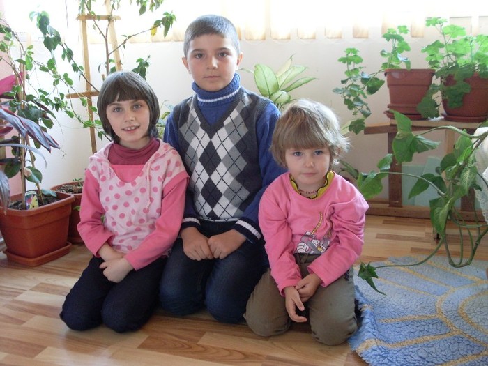 SL375595 - 9 poze diverse