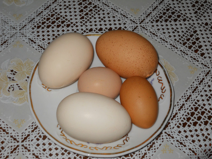 trei oua uriase - un ou de 110g