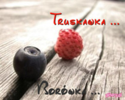 x.Totii:Bona Dimineatsa Doamna Song! - The School Nerd