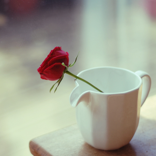 34e8f2fb5e1c144dde862900098d8741