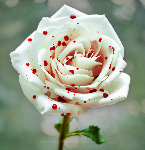 touch_of_love_by_alephunky-d49xc5j