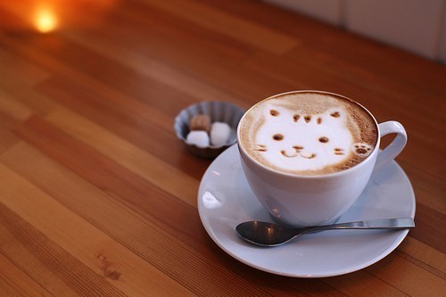 tumblr_loestxUwJb1qe49wpo1_500_large - felicitari