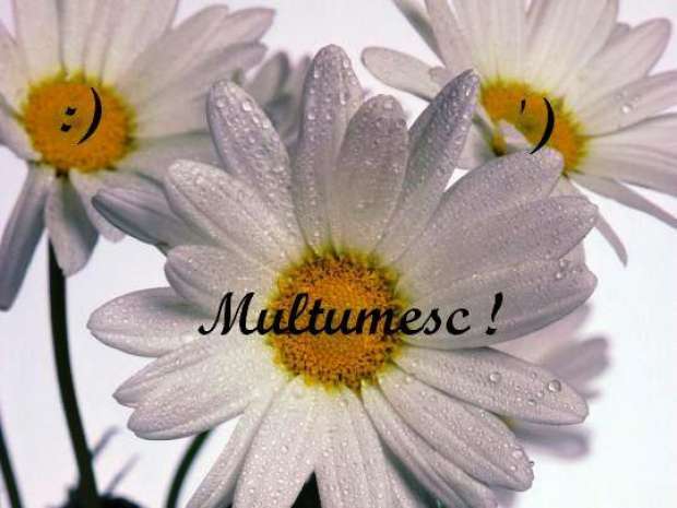 un-zambet-o-floare-o-imbratisare-si-un-simplu-multumesc-iti-pot-insenina-sufletul-macar-pentru-o-cli