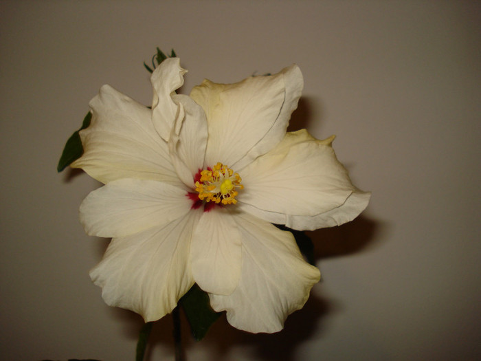 DSC01716