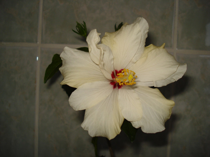 DSC01711