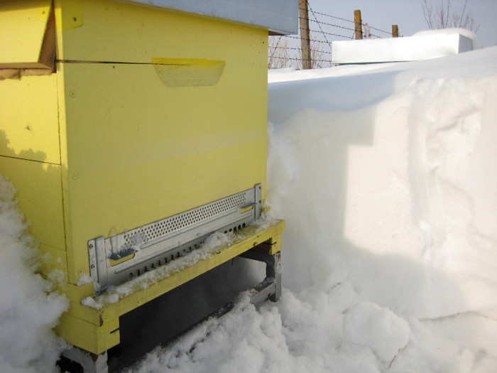 IMG_0029 - Prisaca in 2012