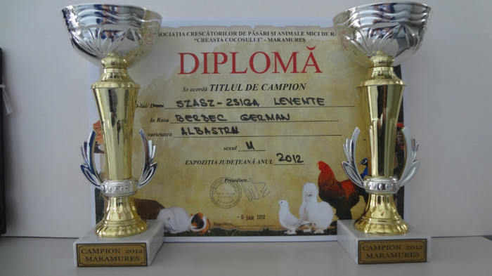 diploma - MASCUL BERBEC 1