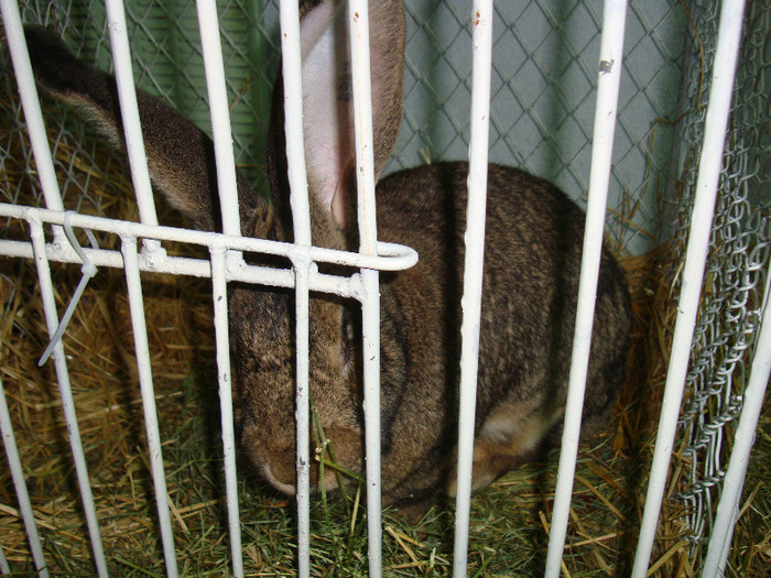 DSC09181