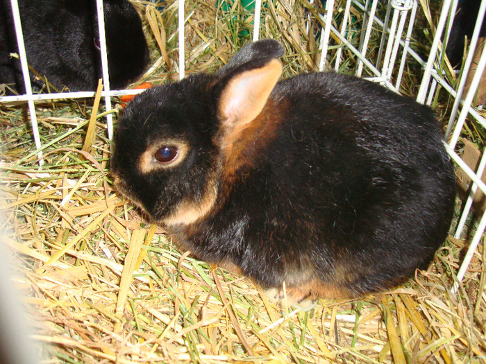 DSC09183